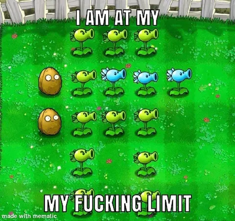 I Am at My F****** Limit