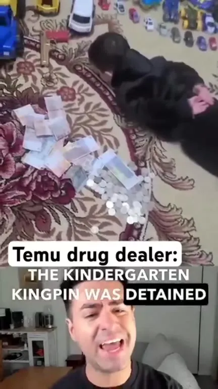 Temu Drug Dealer Gets Timeout