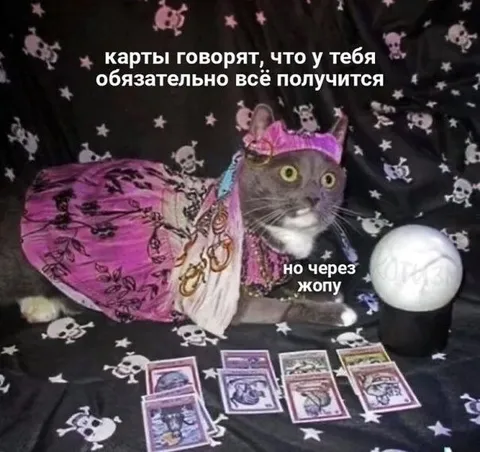 Карты говорят, всё получится