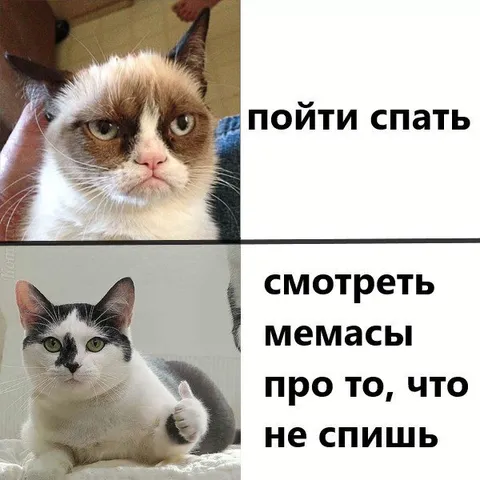 Пойти спать или смотреть мемасы