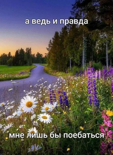 Мне лишь бы поебаться