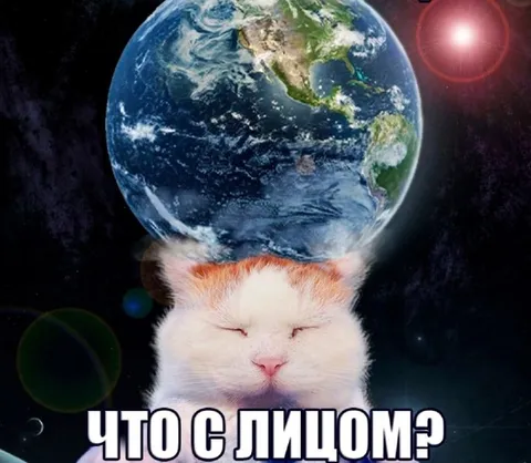 Что с лицомэ кота