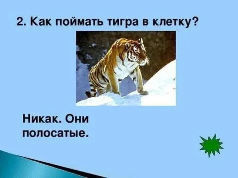 Как поймать тигра в клетку