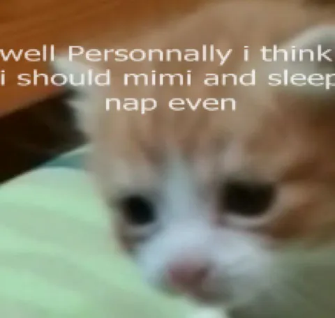 Personally I Think I Should Mimi