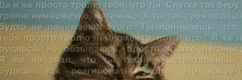 Просто слегка тебя троллю