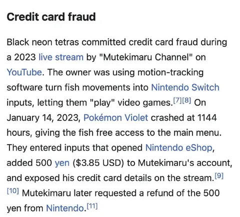 Credit Card Fraud
