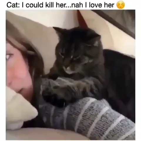 Cat Could Kill Her But Loves Her