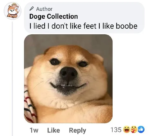Doge Likes Boobs