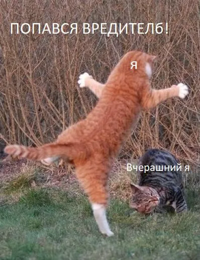 Попался вредитель