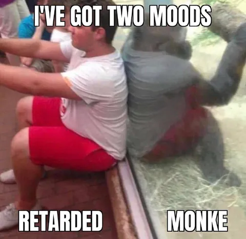 I've Got Two Moods Monkey