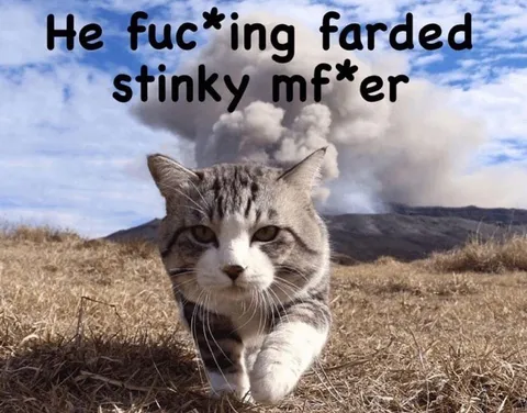 Farting Cat and Volcano