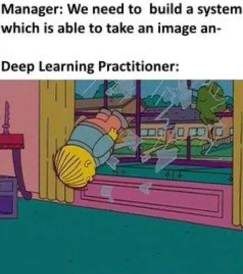 Deep Learning Practitioner Takes an Image