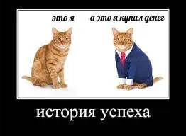 История успеха с котами
