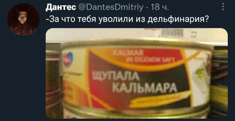 Уволили из дельфинария