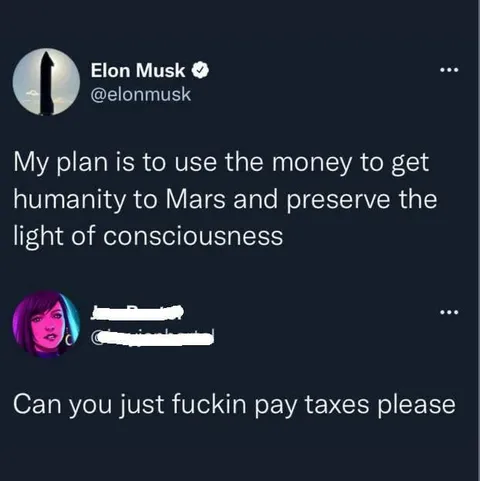 Elon Musk Pay Your Taxes