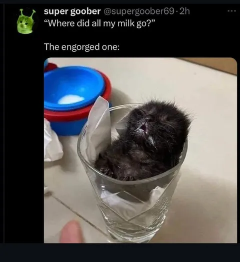 The Engorged One