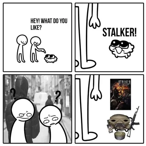 What Do You Like? Stalker