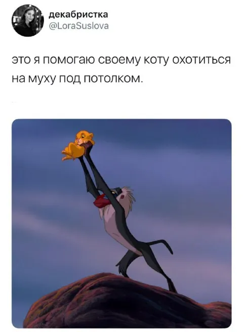 Помогаю коту охотиться на муху