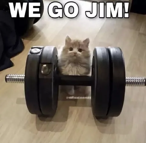 We Go Jim Cat Workout