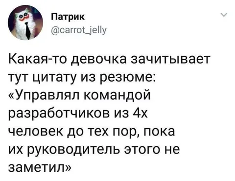Разработчики из 4х человек