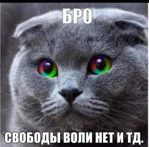 Свободы воли нет и т.д.