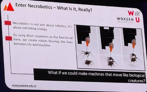 Necrobotics Spider Robot Presentation