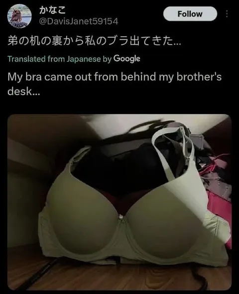 弟の机の裏からブラが出た