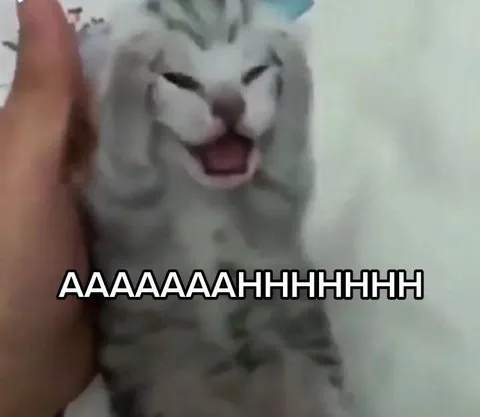 Screaming Cat