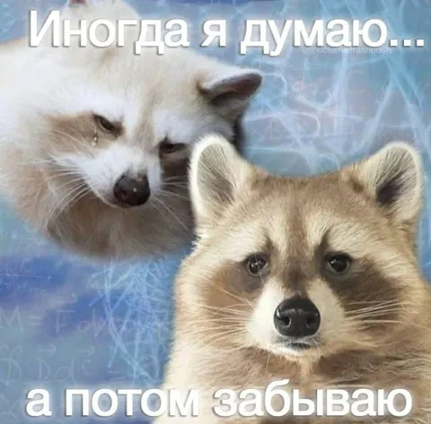 Иногда я думаю, а потом забываю
