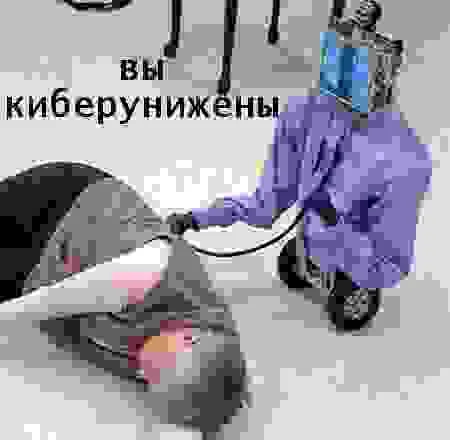 Вы киберунижены