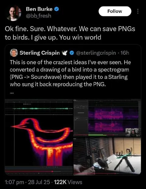 Bird PNG Spectrogram Experiment