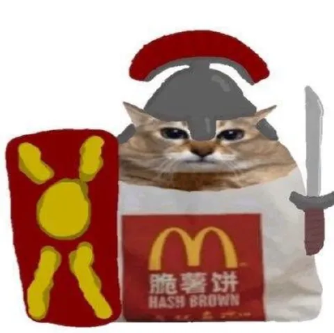 麦当劳猫咪罗马战士