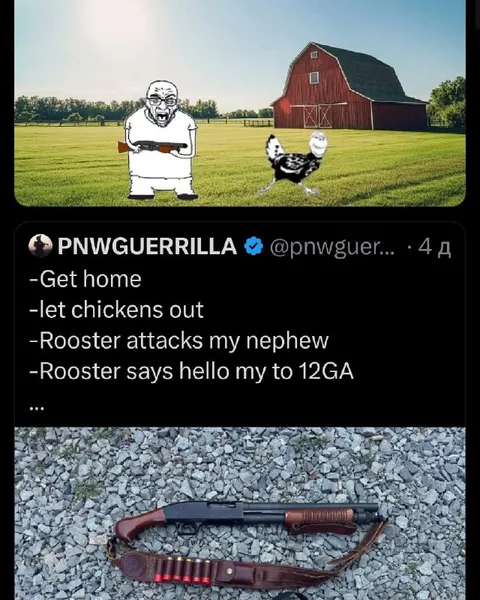 Rooster Says Hello to the 12 Gauge