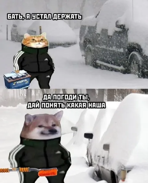 Батя, я устал держать снег