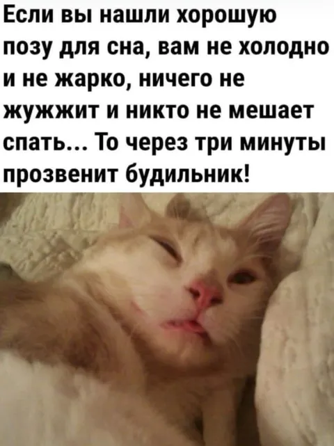 Идеальная поза перед будильником