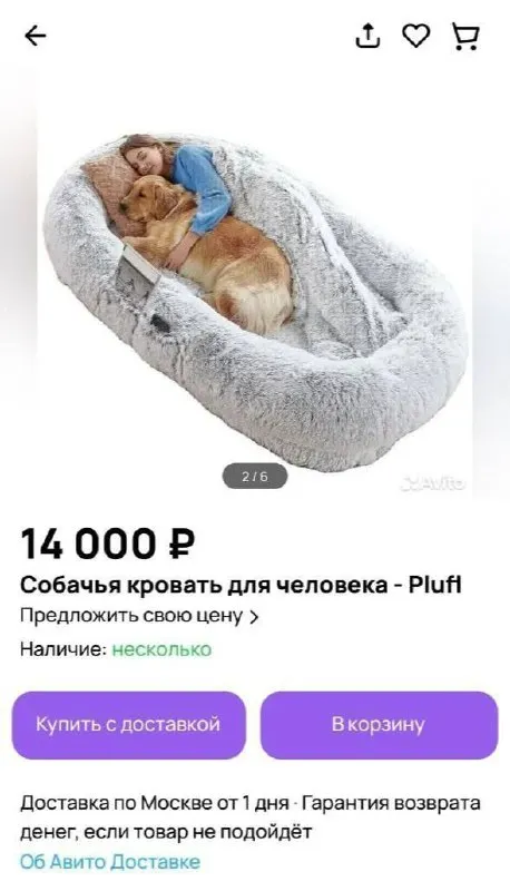 Собачья кровать для человека