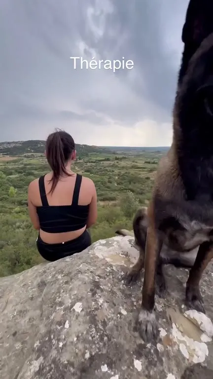 Thérapie avec des chiens