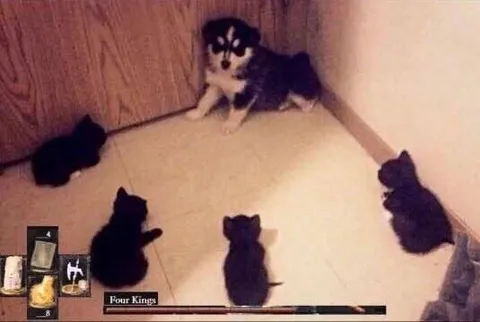 Puppy Surrounded by Four Kings