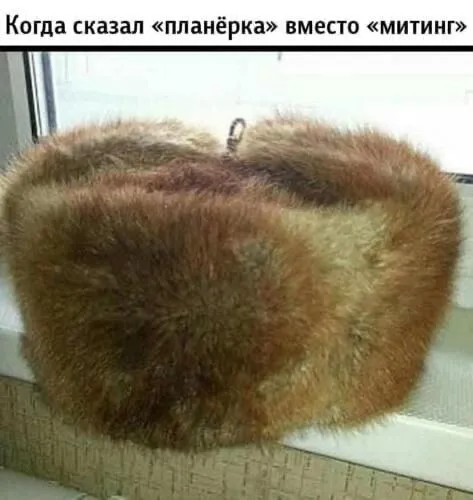 Планёрка вместо митинга