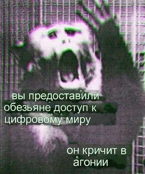 Обезьяна получила доступ к интернету