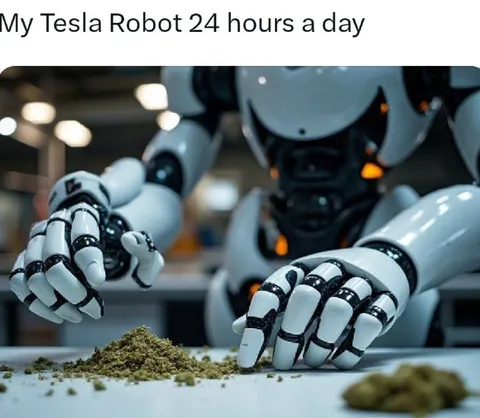 Tesla Robot High All Day