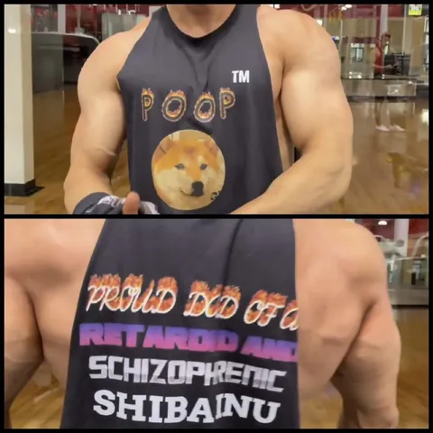 Proud Dad of a Shibainu