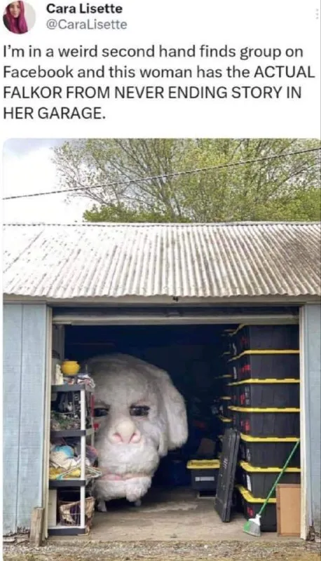Actual Falkor in the Garage