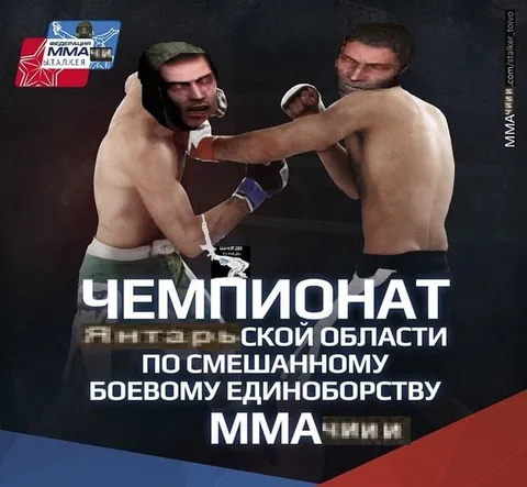 Чемпионат Липецкой области по ММА