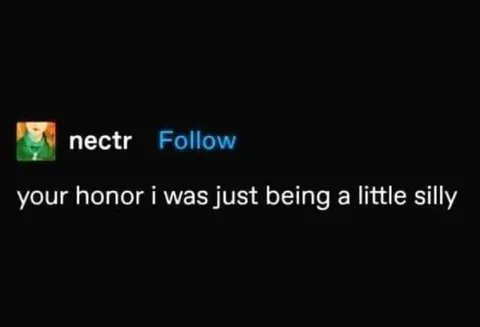 Your Honor I Was Being Silly
