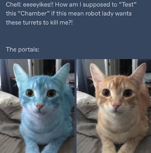 The Portals Are Cats