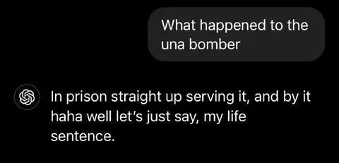 The Una Bomber Life Sentence Pun