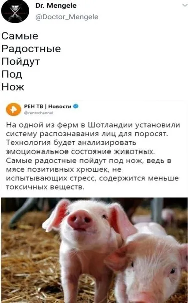 Самые радостные пойдут под нож