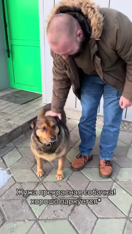 Жужа умеет всё