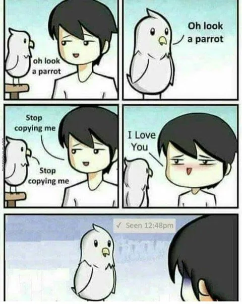 Parrot Copies Everything